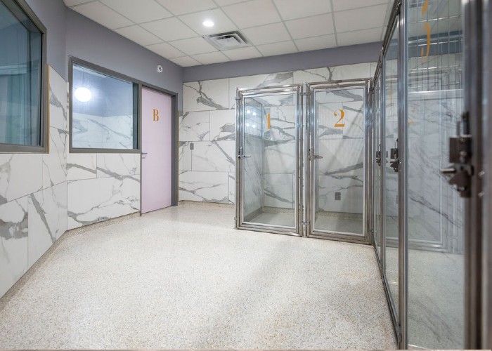 Lodging at West Dog Boarding Edmond OK Pawparazzi Resort