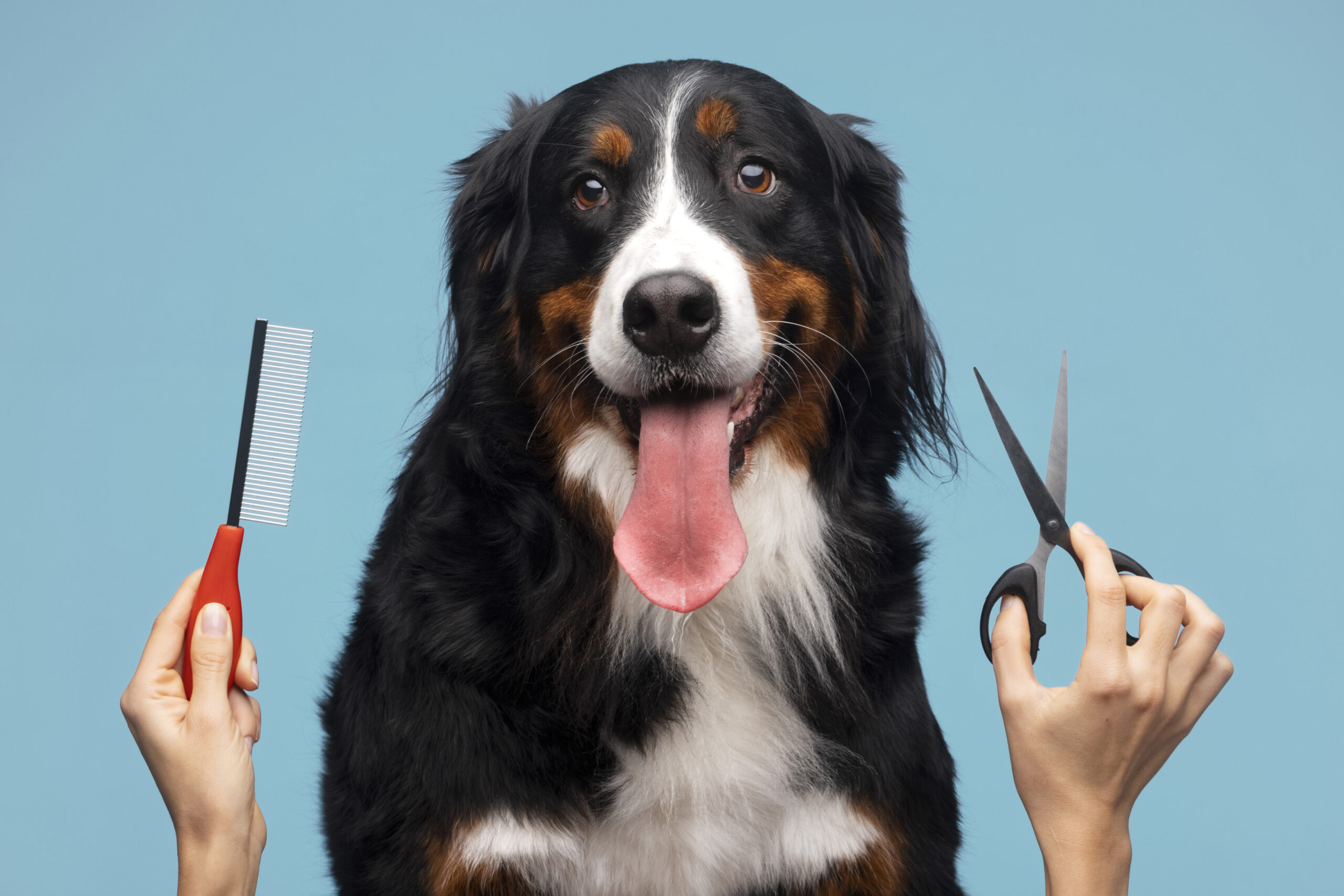 Pampering Your Pup: The Benefits of Dog Spa Days