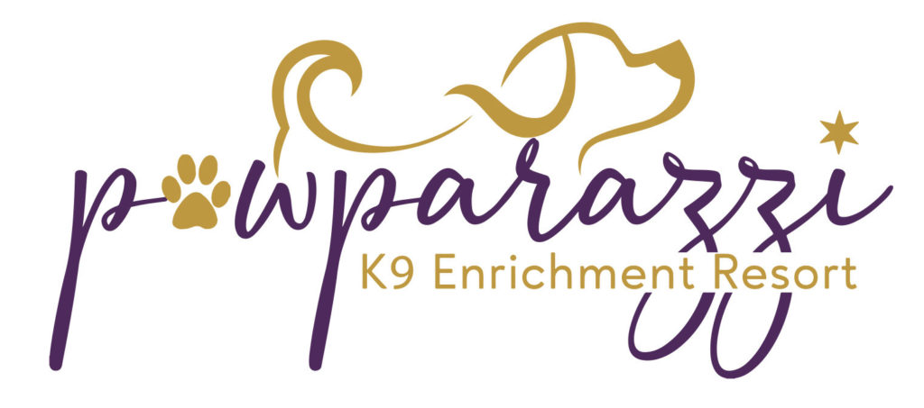 Pawparazzi K9 Enrichment Resort in Edmond OK logo