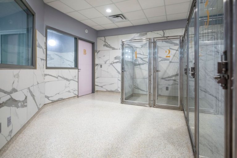 Lodging at West Dog Boarding Edmond OK Pawparazzi Resort