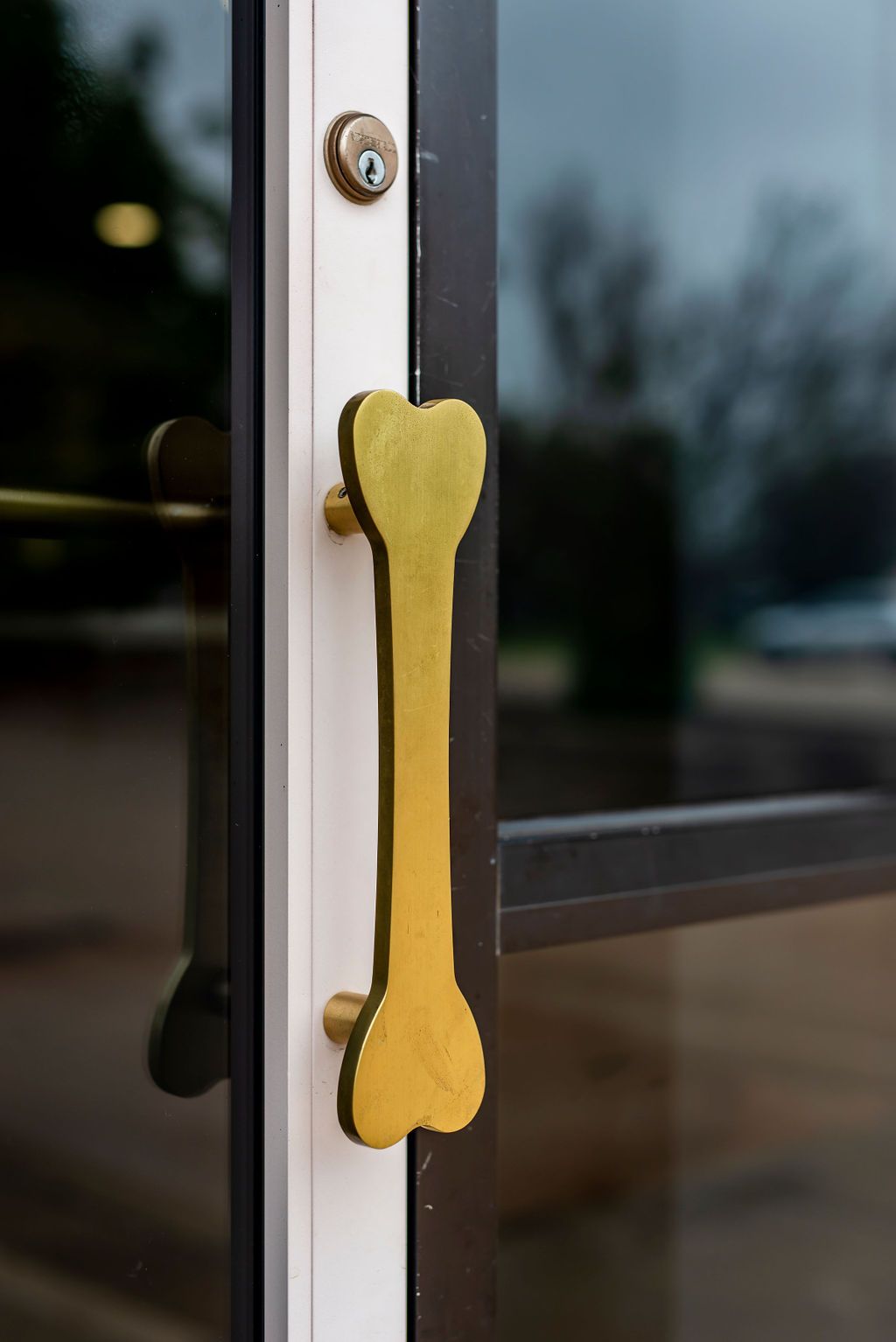 Lodging at West Dog Boarding Edmond OK Pawparazzi Resort