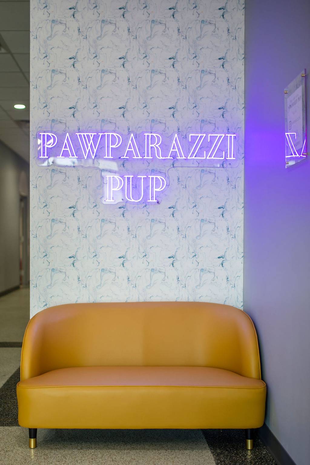 Lodging at West Dog Boarding Edmond OK Pawparazzi Resort