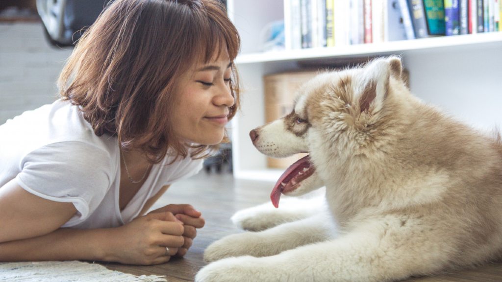 Build a strong relationship with your pooch